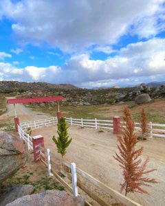 comprar lostes en baja california
