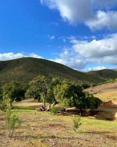 lotes en venta cerca de valle de guadalupe