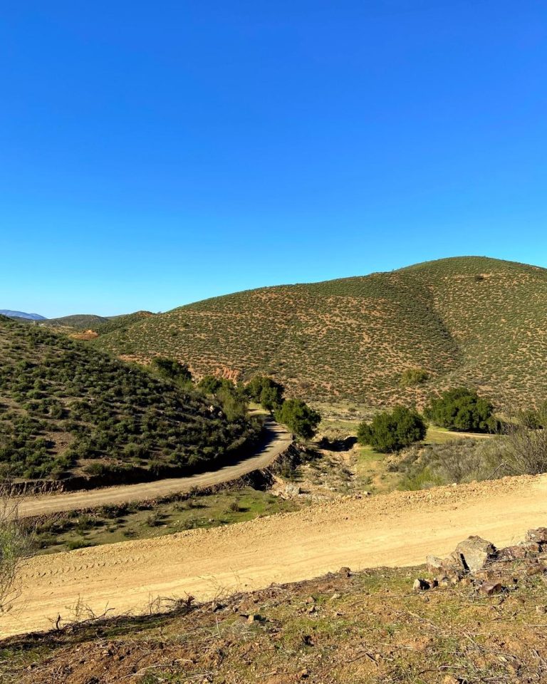 lotes y terrenos en venta