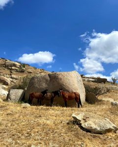 terrenos a la venta cerca de valle de guadaluoe baja california