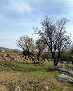 terrenos en venta cerca de valle de guadalupe mexico