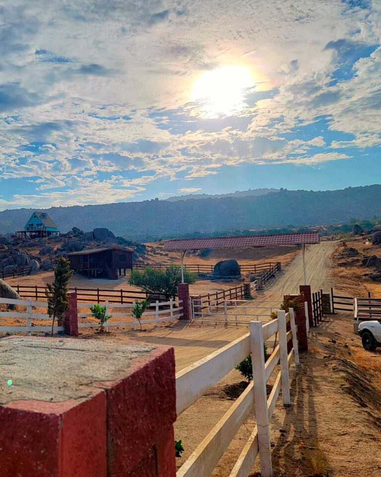 ensenada ruta del vino