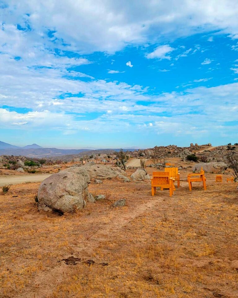 valle de guadalupe ruta del vino ensenada terrenos