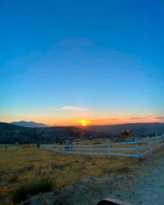 valle de guadalupe terrenos