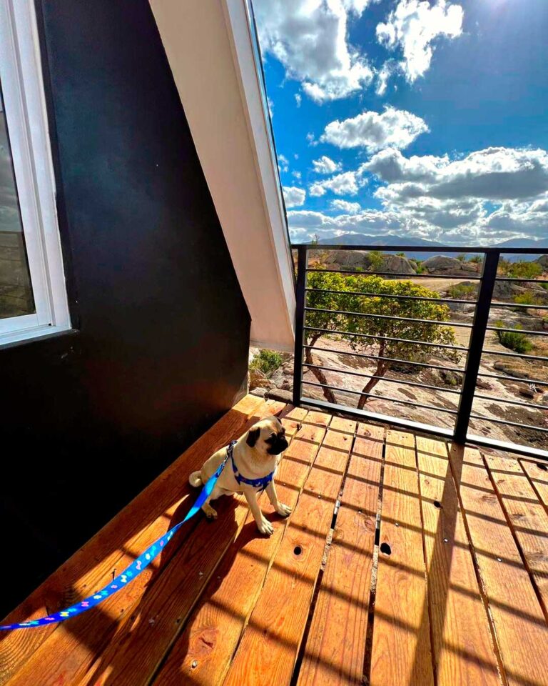 property for sale baja